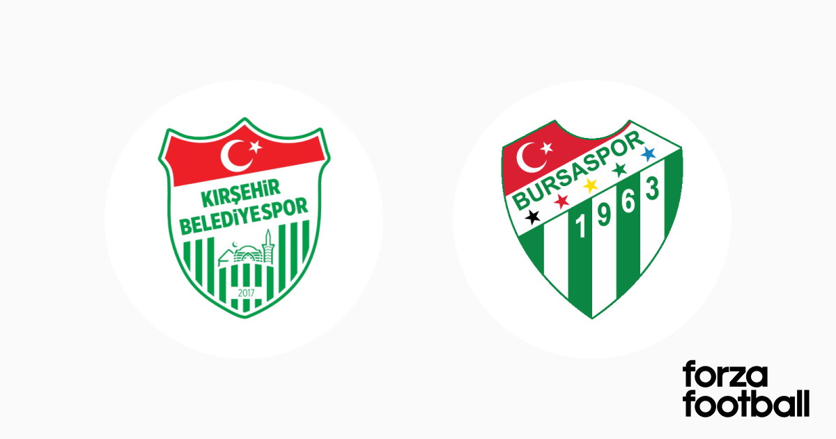 Kirsehir FSK vs Bursaspor